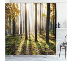 Forest Leaves at Sunrise Shower Curtain