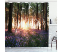 Sunrise Woods in Spring Shower Curtain