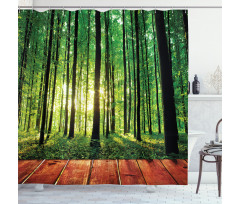 Sunlight Forest Trees Shower Curtain