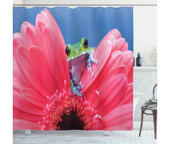 Frog on Gabera Flower Shower Curtain
