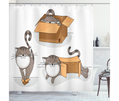 Kitten Cat in the Box Shower Curtain