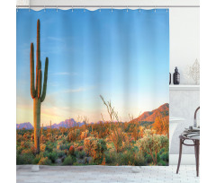 Sun in Desert Cactus Shower Curtain