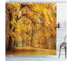 Fall Pale Maple Trees Shower Curtain