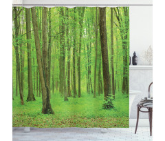 Forest in a Sunny Day Shower Curtain