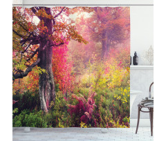 Majestic Autumn Trees Shower Curtain