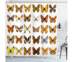 Butterfly Miracle Wing Shower Curtain