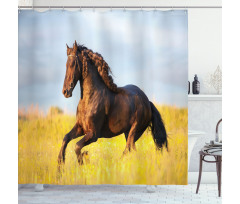 Meadow Mystery Horse Shower Curtain