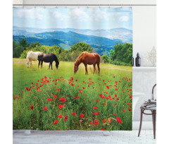 Landscape Rural Scene Shower Curtain
