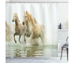 Camargue Horses in Water Shower Curtain
