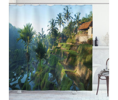 Palm Trees Morning Shower Curtain
