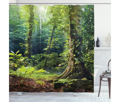 Wild Ivy on Trees Shower Curtain