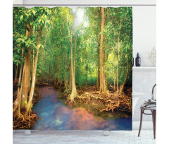 Roots of Mangrove Trees Shower Curtain