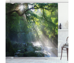 Jungle Sunlight Trees Shower Curtain