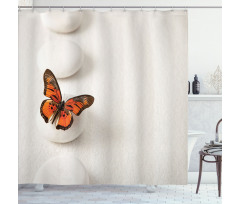 Butterfly Rocks Healing Shower Curtain