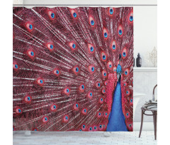 Peacock Bird Surreal Shower Curtain