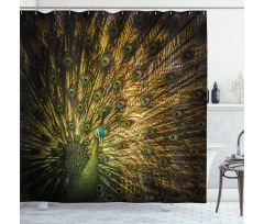 Exotic Dark Feathers Shower Curtain