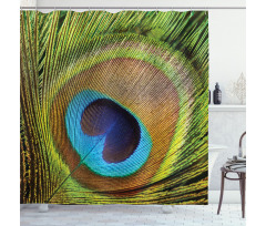 Green Peacock Feathers Shower Curtain