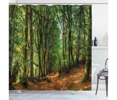 Woodland Pathway Scene Shower Curtain