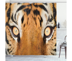 Tiger Eyes Wild Shower Curtain