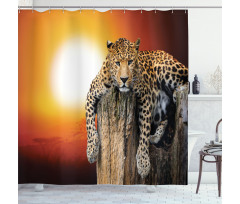 Safari Leopard on Tree Shower Curtain
