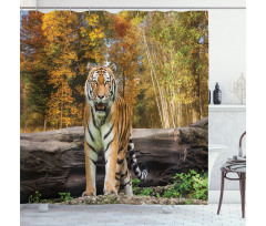 Tiger in Forest Shower Curtain
