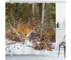 Bengal Tiger Wild Animal Shower Curtain