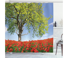 Spring Scenery Flowers Shower Curtain