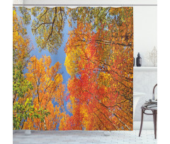 Forest in Autumn Shower Curtain