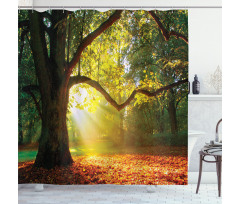 Oak Autumn Leaves Hazy Shower Curtain