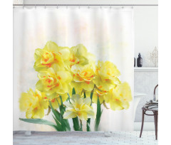 Paint of Daffodils Bouquet Shower Curtain