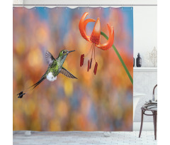 Racket Tail Lily Nectar Shower Curtain
