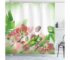 Orchids Blossoms Leaves Shower Curtain