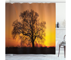 Old Oak at Sunset View Shower Curtain