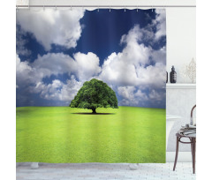 Old Tree in Grass Field Shower Curtain