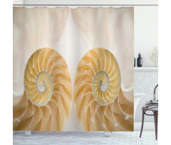 Symmetrical Seashells Shower Curtain