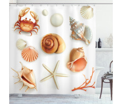 Seashells Marine Aquatic Shower Curtain