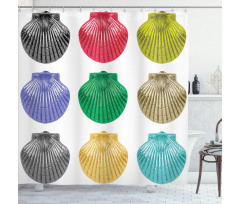 Seashells Composition Shower Curtain