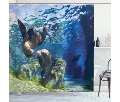 Playful Sea Lions Shower Curtain