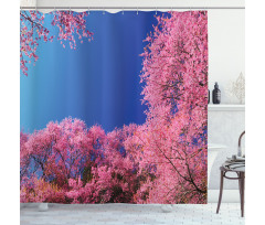 Cherry Blossom Trees Shower Curtain