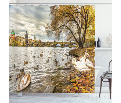 Swimming Swans in River Shower Curtain