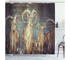 Capricorn Antlers Shower Curtain