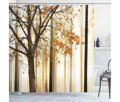 Bare Branches Fall Leaves Shower Curtain