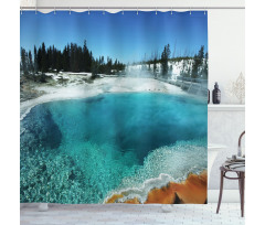 Snowy Forest Pool Shower Curtain