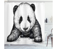 Baby Panda Bear Sketch Shower Curtain