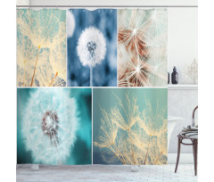 Dandelions Nature Shower Curtain