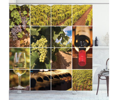 Vineyard Grapes Landscapes Shower Curtain