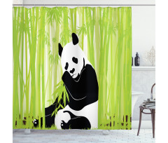 Panda in Bamboo Forest Shower Curtain