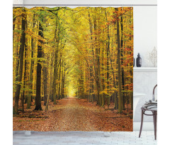 Pathway into the Forest Shower Curtain