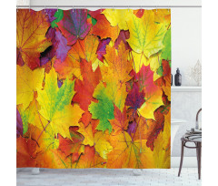 Colorful Maple Leaves Shower Curtain