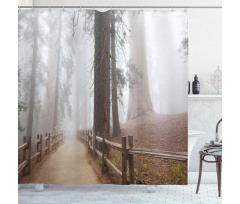 Forest in Foggy Morning Shower Curtain